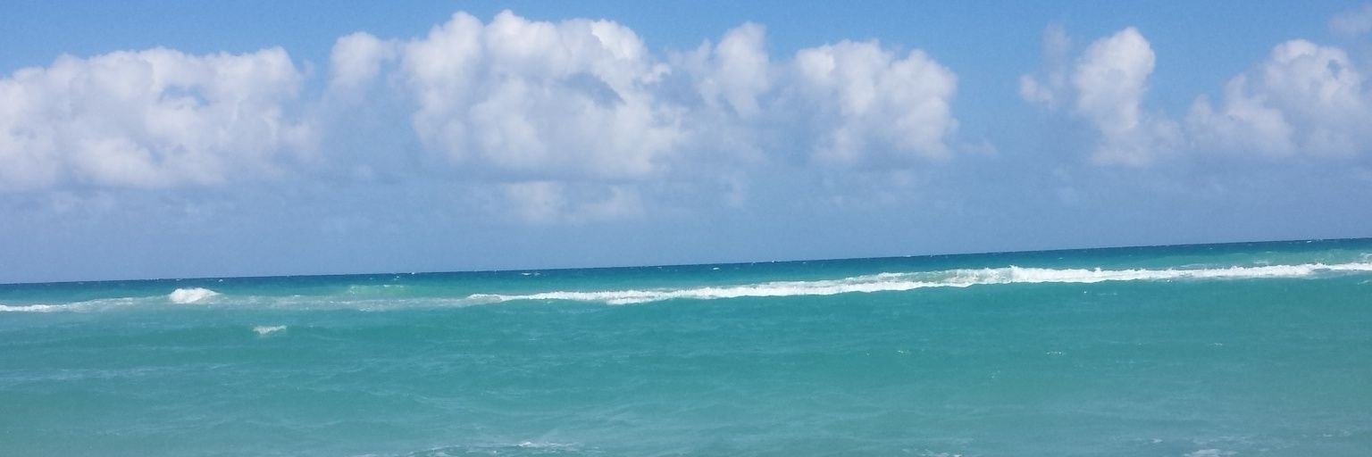 BeadleTheCunt's profile banner image