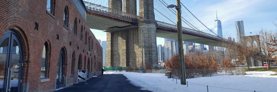 BrooklynNorth's profile banner image