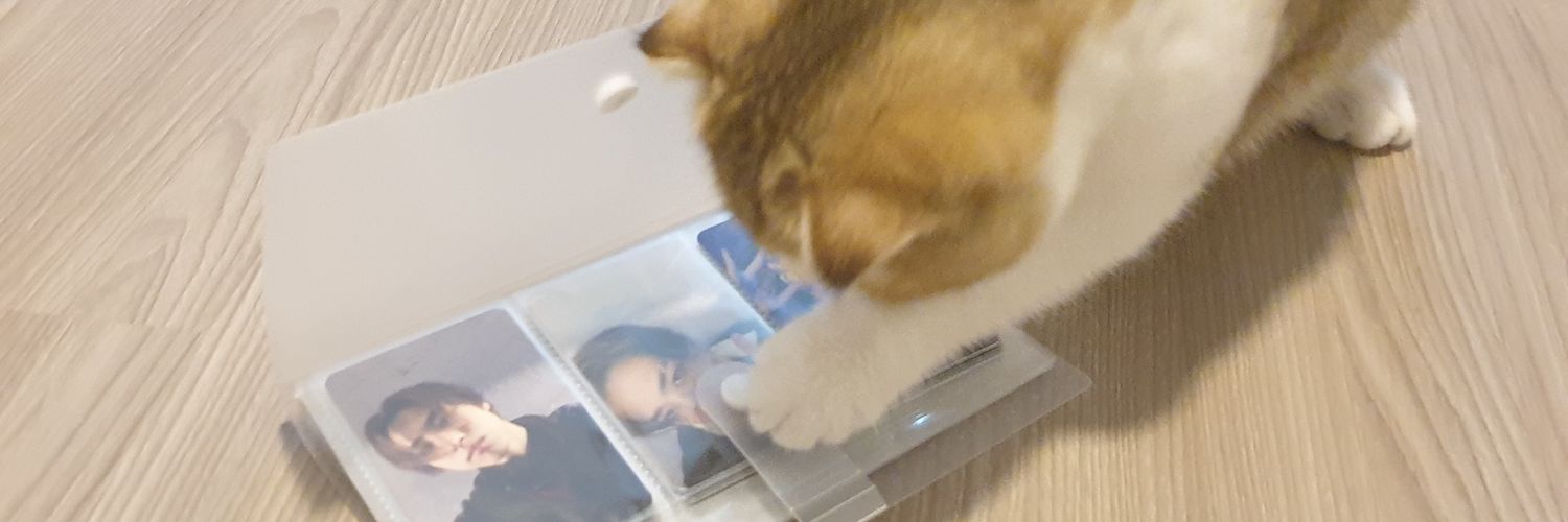 kaewkett's profile banner image