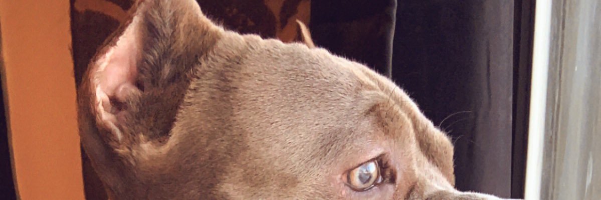 TVCBerny's profile banner image
