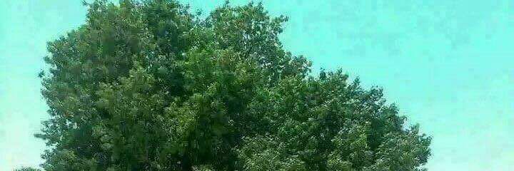adbanda's profile banner image