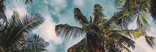 oleobecker's profile banner image