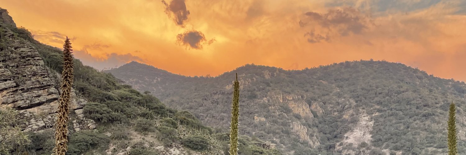 Merry_Guzman's profile banner image