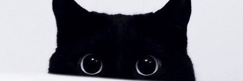 Anznalize's profile banner image