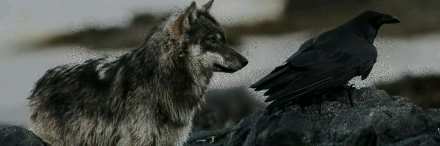 Creightyy's profile banner image