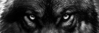 bbdpano's profile banner image