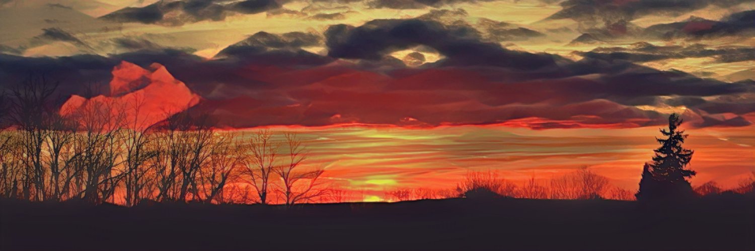 ladugan2's profile banner image