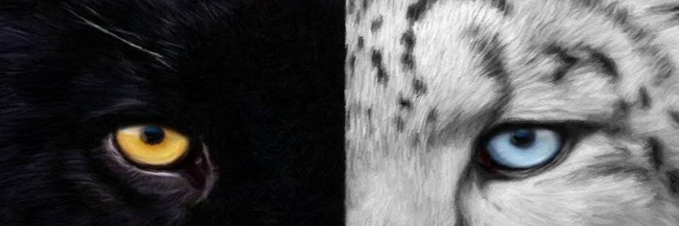 warihan's profile banner image