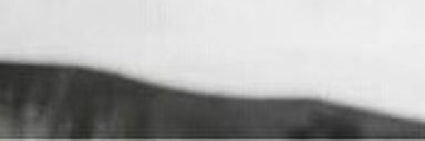 Hawthorne Asylum. banner