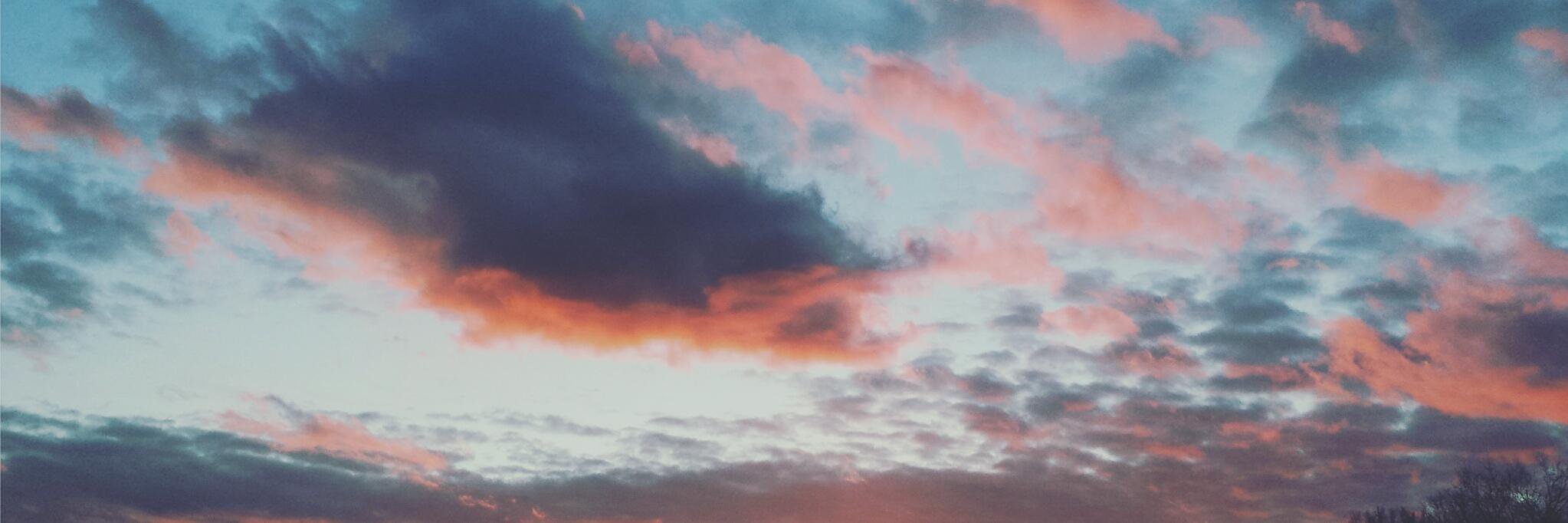 CarolineBylin's profile banner image