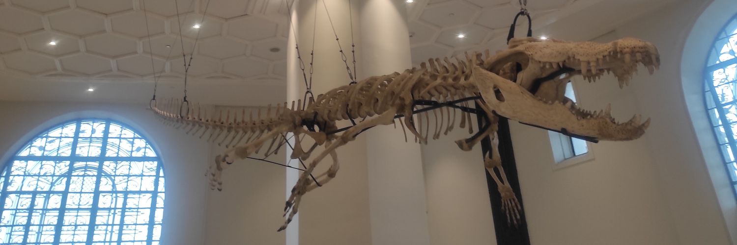 notrealnamex's profile banner image