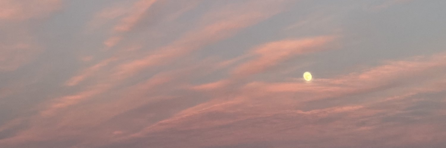 roxanalozar's profile banner image