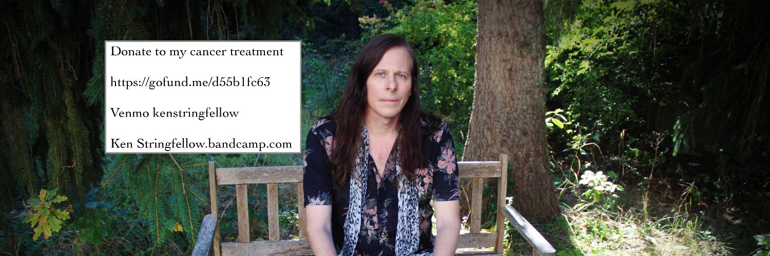 Ken Stringfellow banner