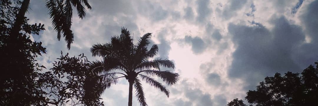 Hygienus1's profile banner image