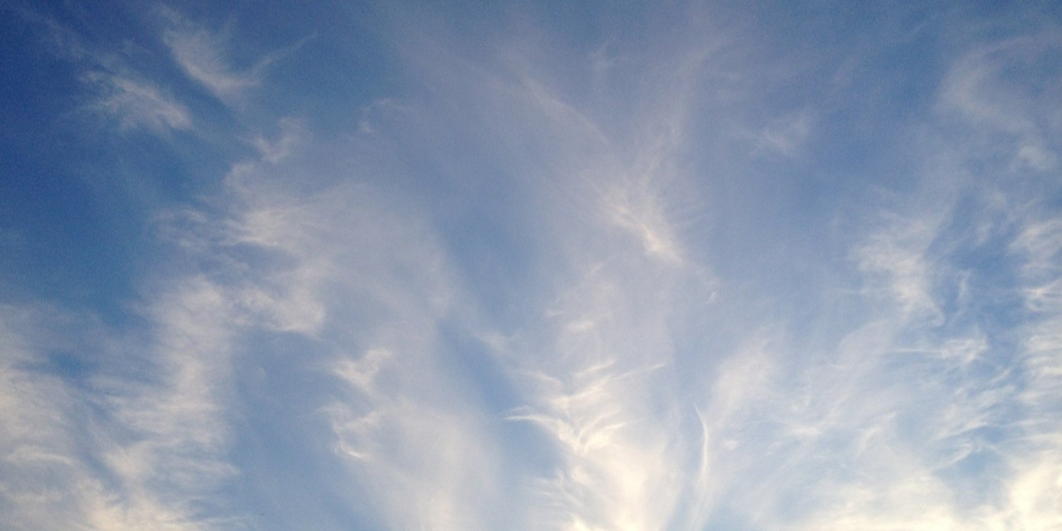 Ellsrichardson's profile banner image