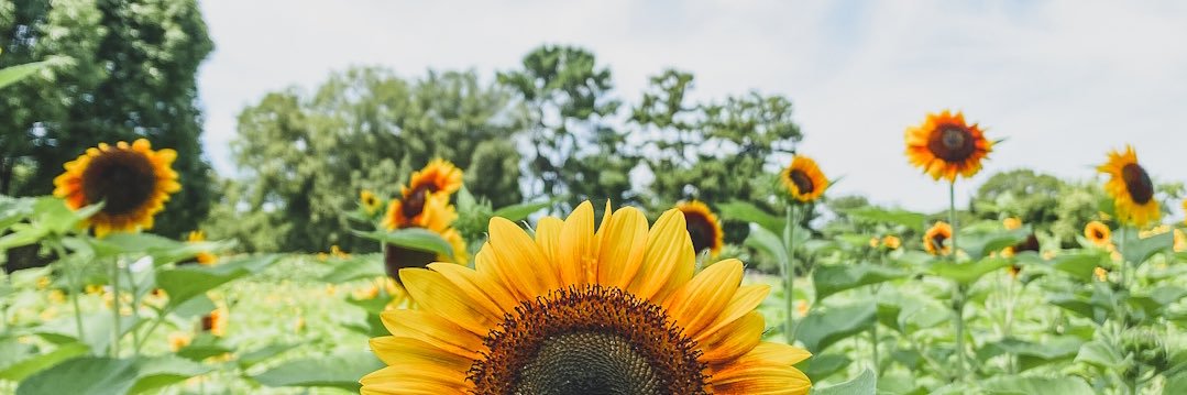 herssaaa's profile banner image