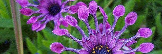 숟가락질🥄 banner