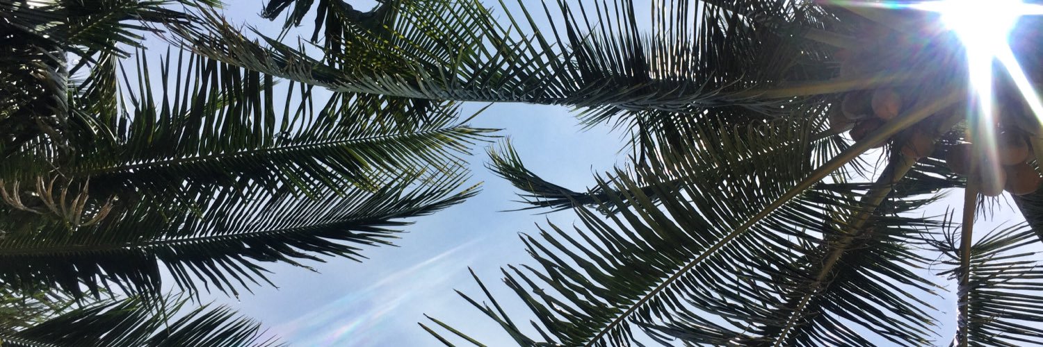 florianovna's profile banner image