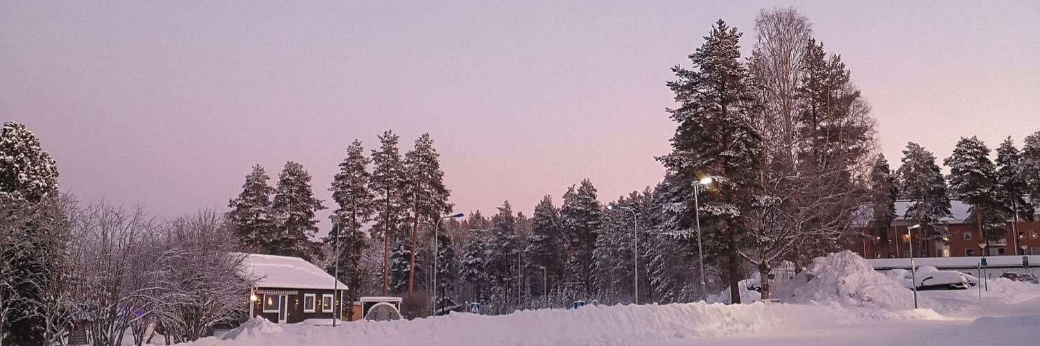 wintermelonnn's profile banner image