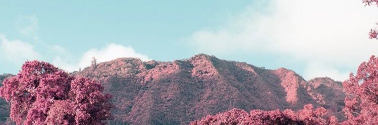 jesrockets's profile banner image