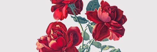 PerfectlyKristy's profile banner image