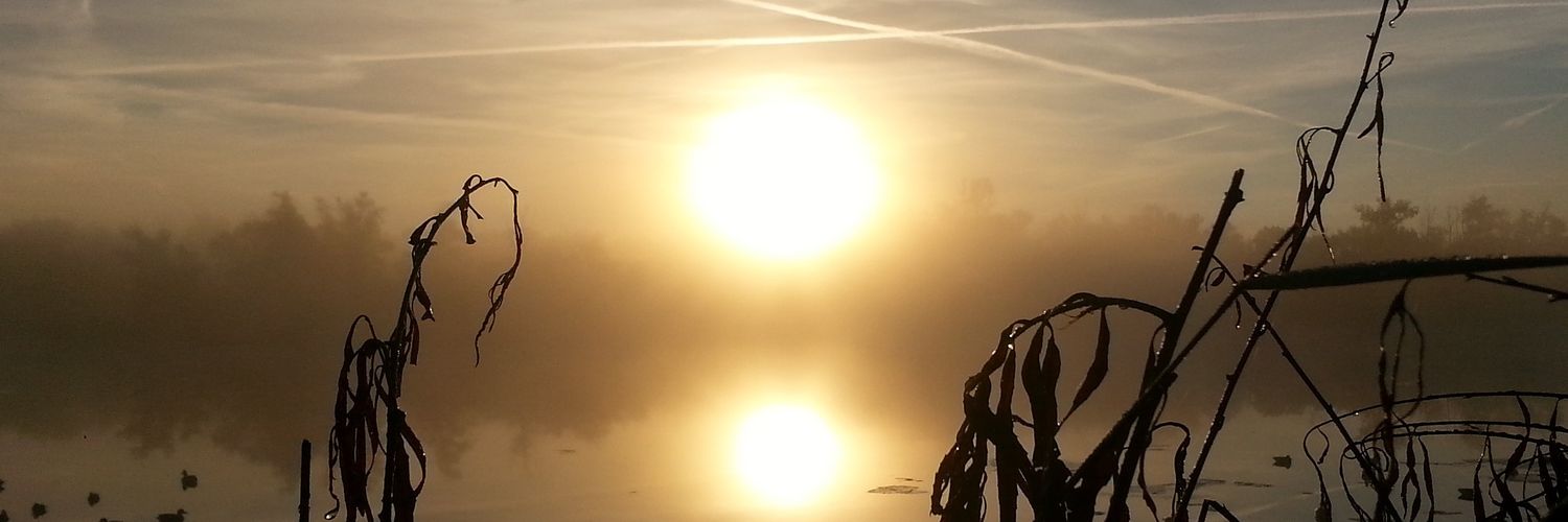 dbleim8's profile banner image