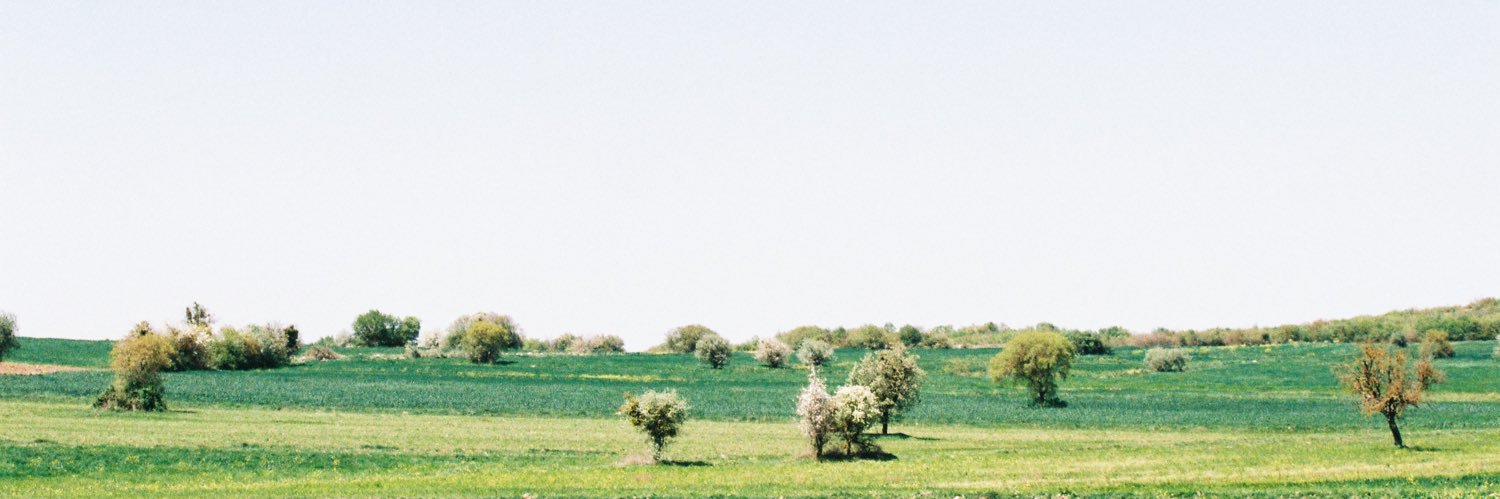 hakanyarann's profile banner image
