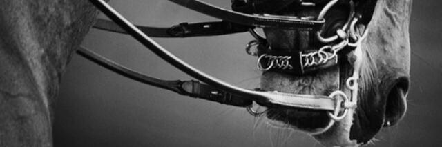TorressAntonio's profile banner image