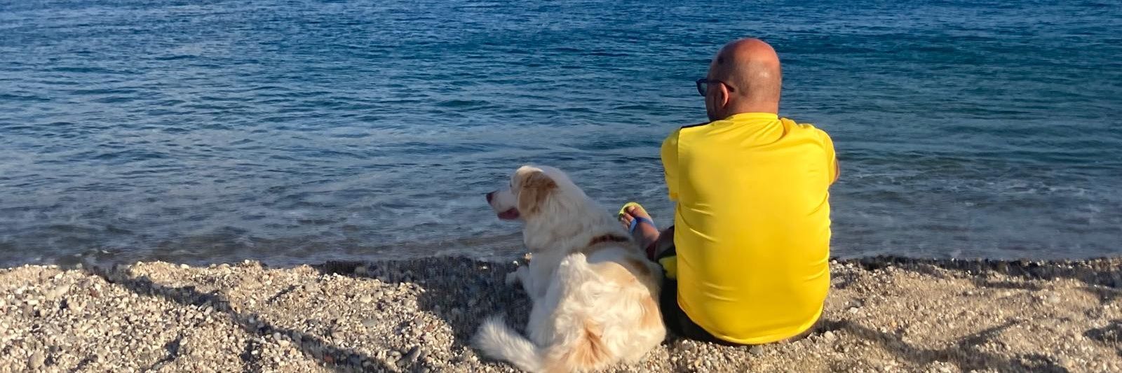 marco miccoli banner