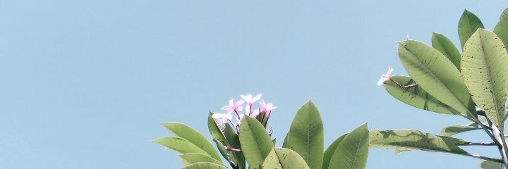 iyabukanya's profile banner image