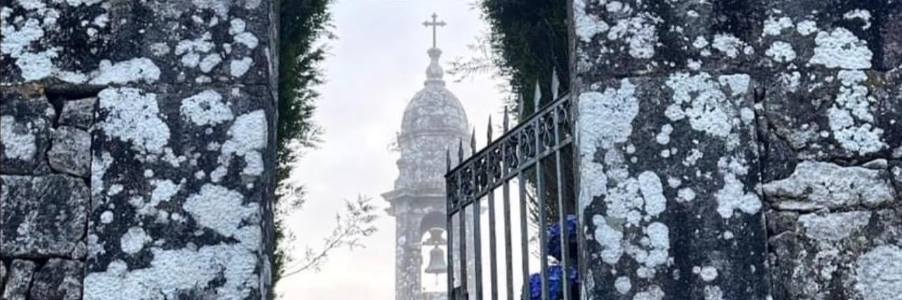 Michelle Letcher banner