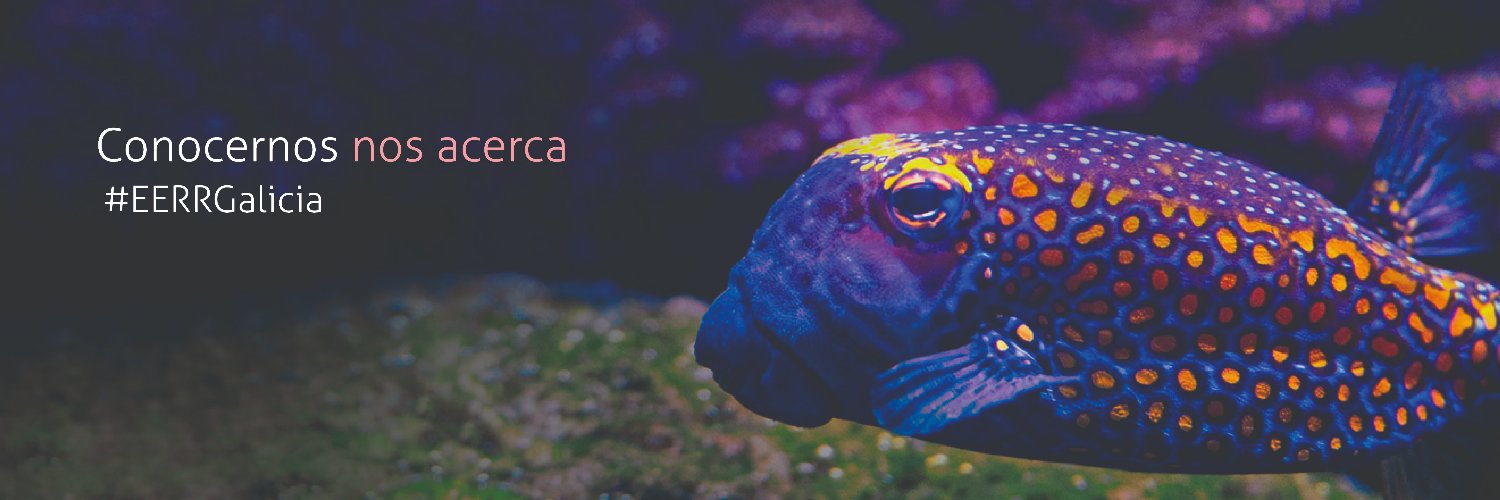 FEGEREC | Enfermedades raras Galicia banner