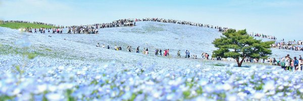 dog1911a1 Profile Banner