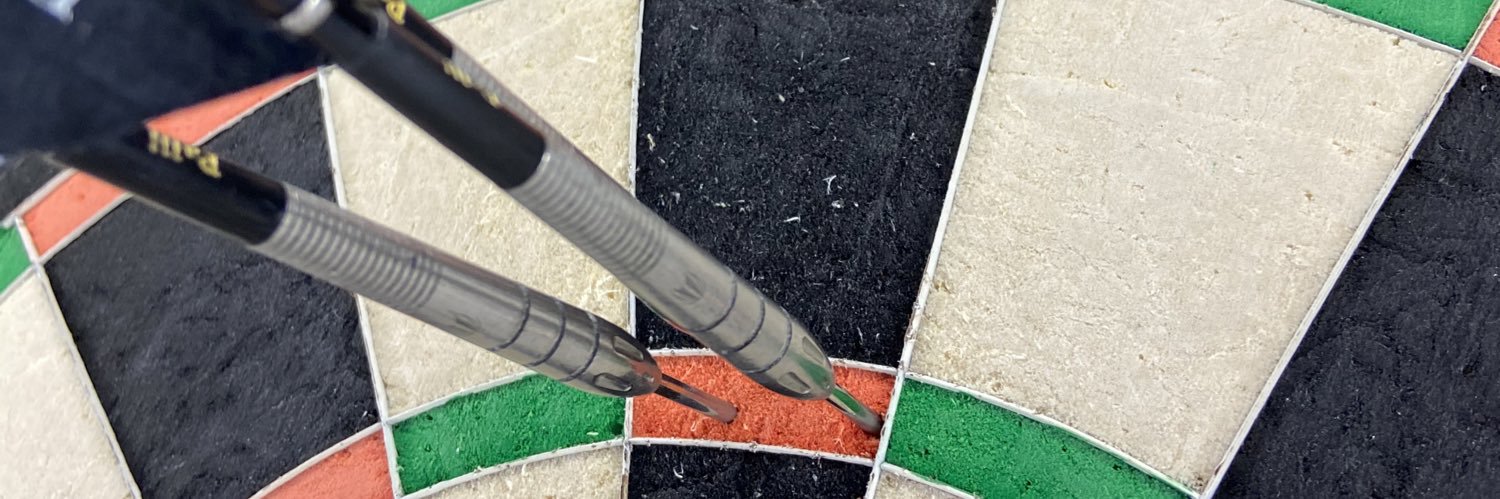 Páll Sævar Guðjónsso banner