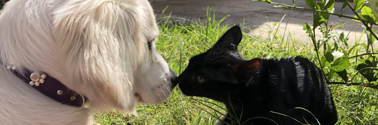 dianaedith__'s profile banner image