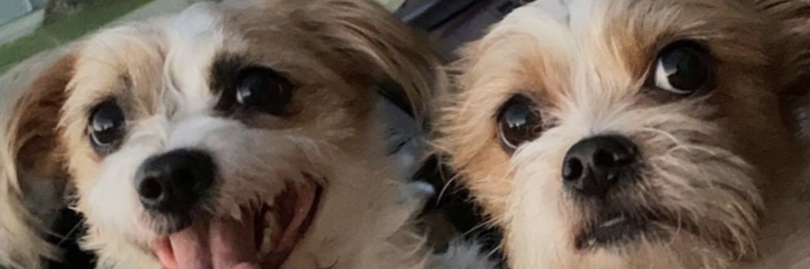 JoeEddingfield's profile banner image