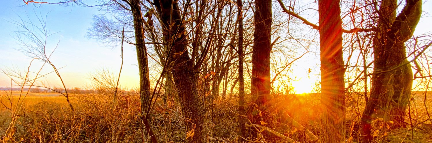 baseballjohn31's profile banner image
