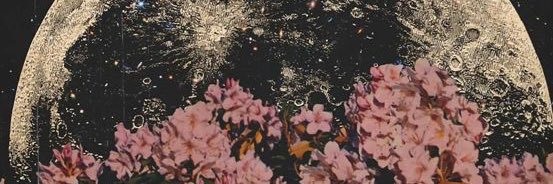 Taniapap's profile banner image