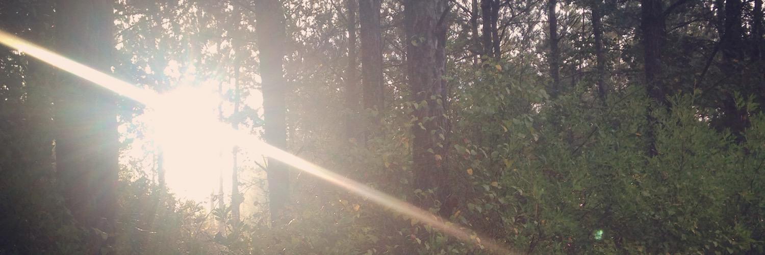 tay_rall's profile banner image