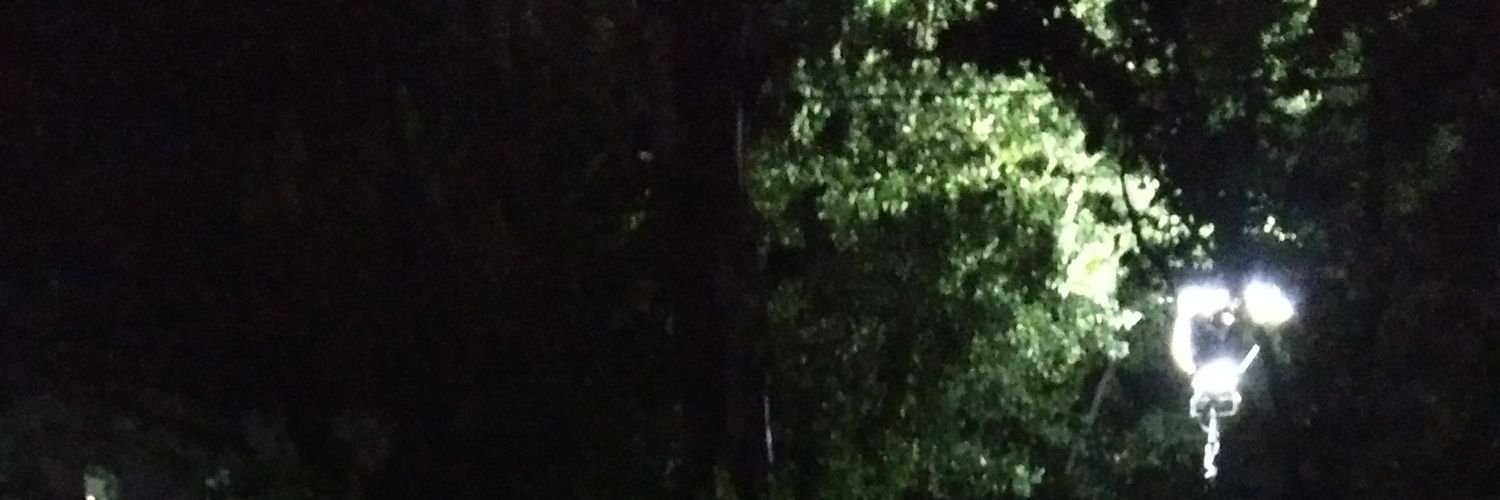 El nombre no debe de estar en blanco banner