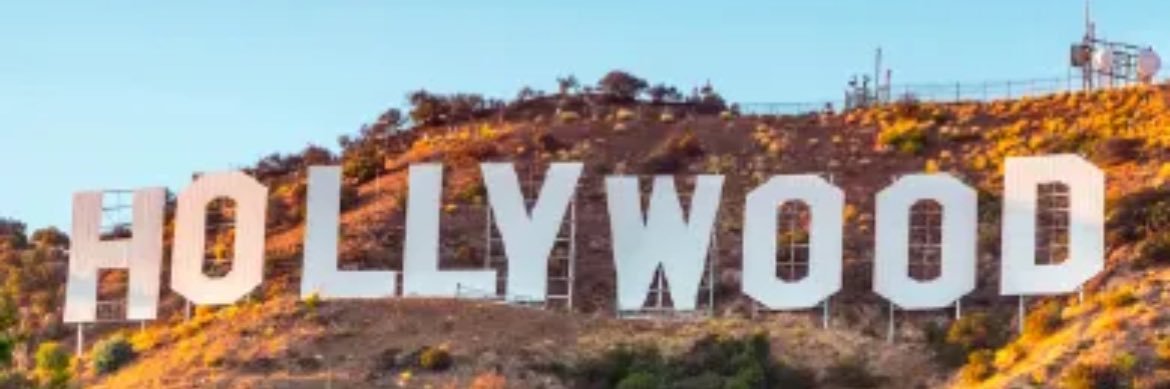 Mario P. Székely banner