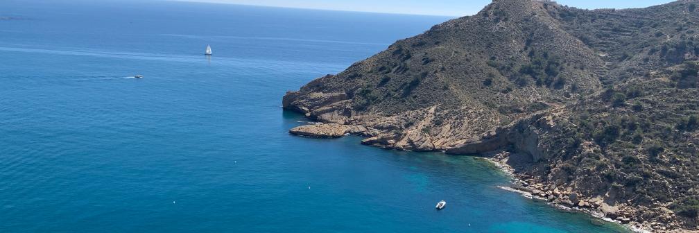 Thomas Zandonai banner