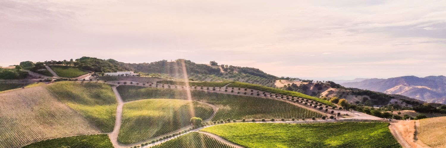 DAOUvineyards's profile banner image