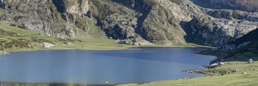 Lauraea012's profile banner image