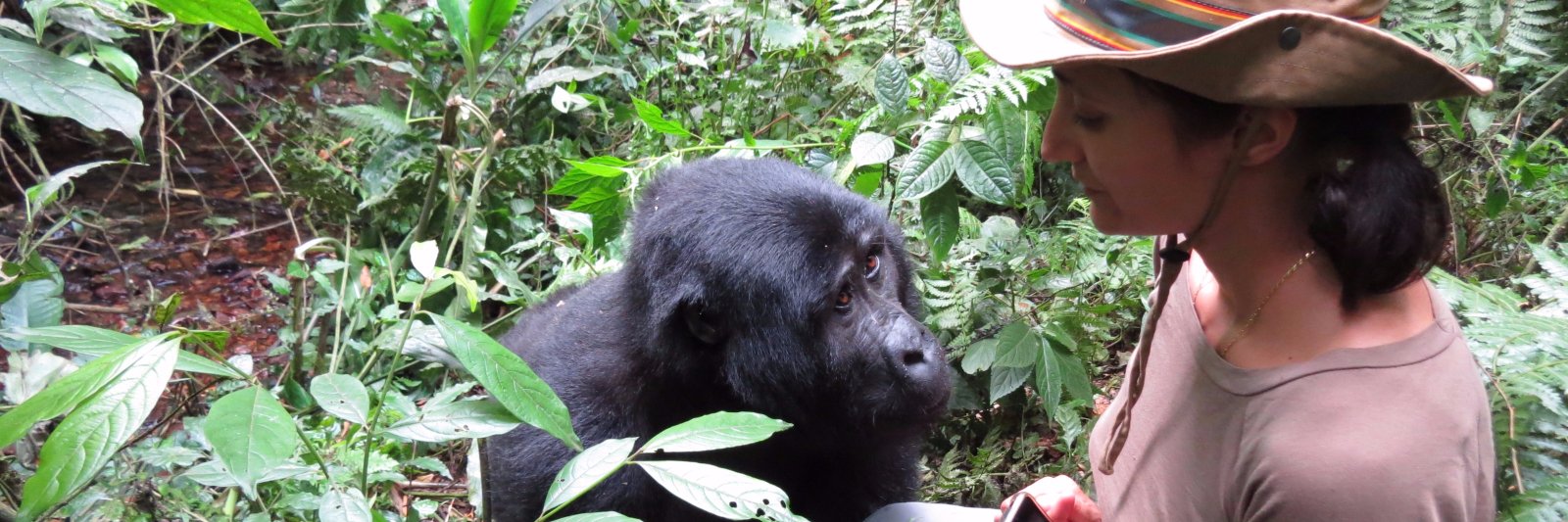 Laura Martín-Sánchez banner