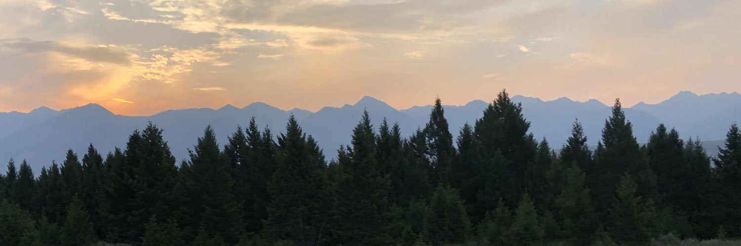 Michael Fulton banner