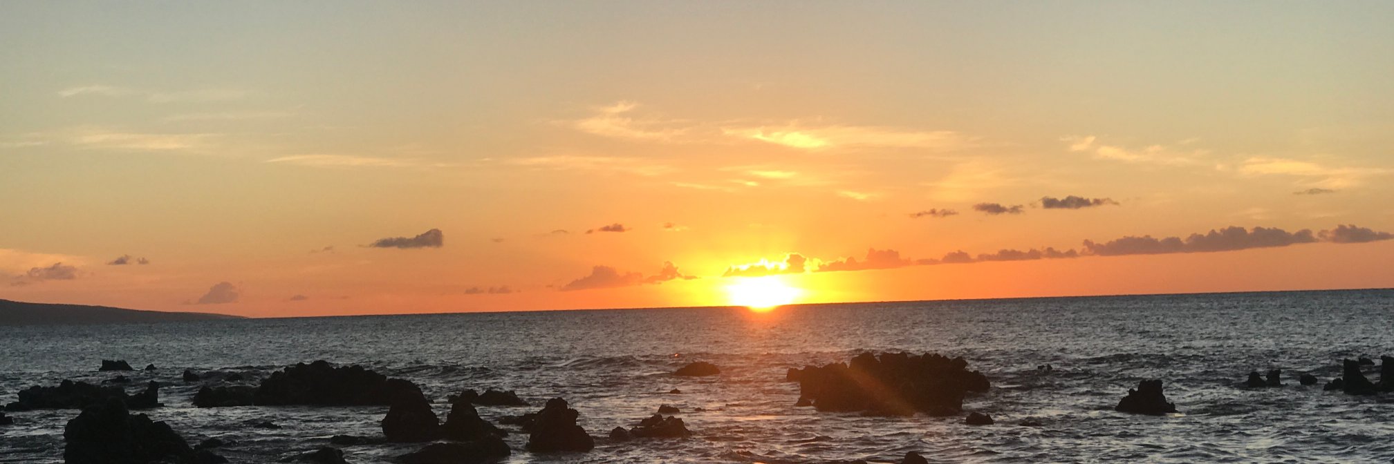 daHawaiianStore's profile banner image