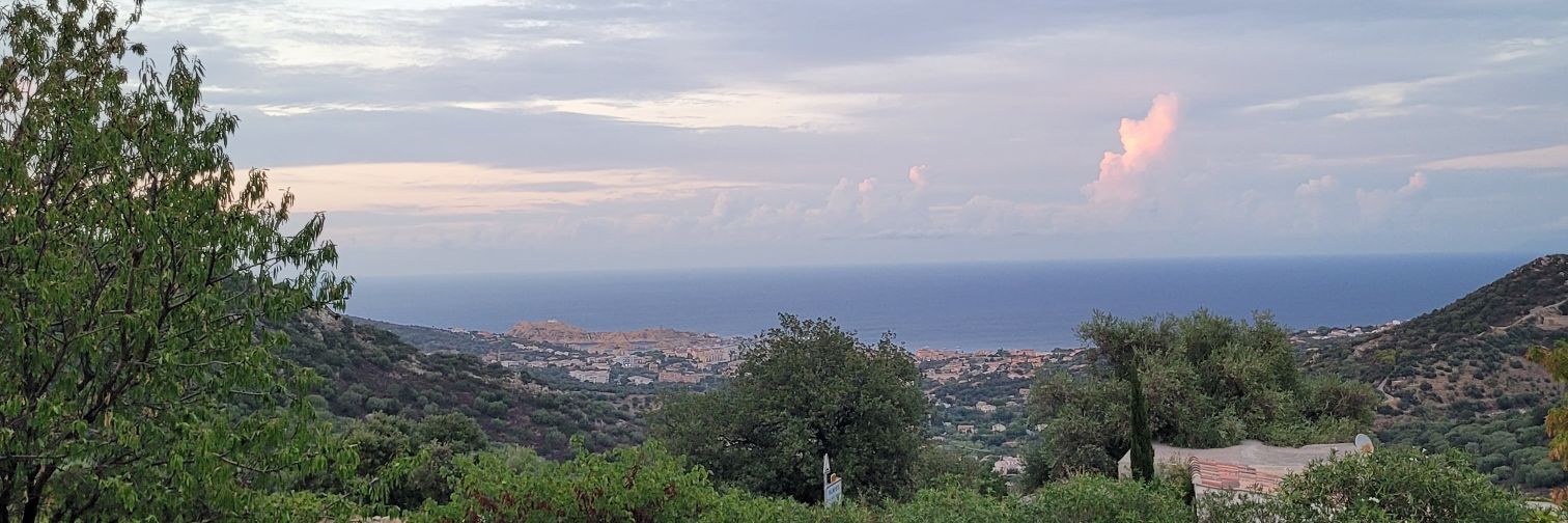 MariieSavelli's profile banner image