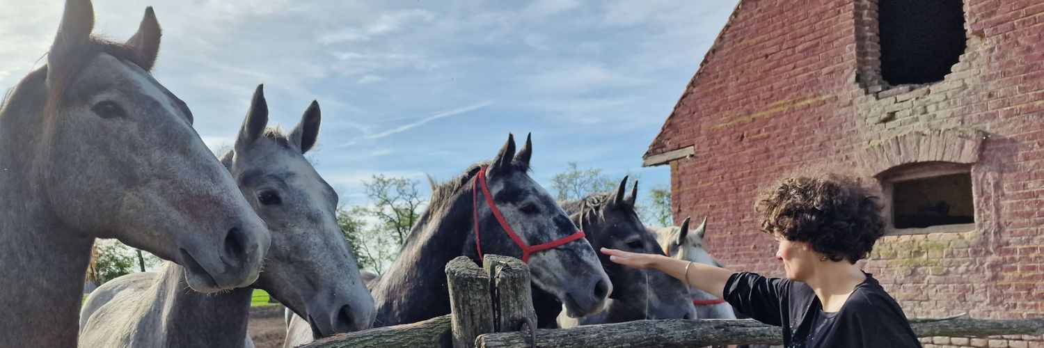 HorvatSasa's profile banner image