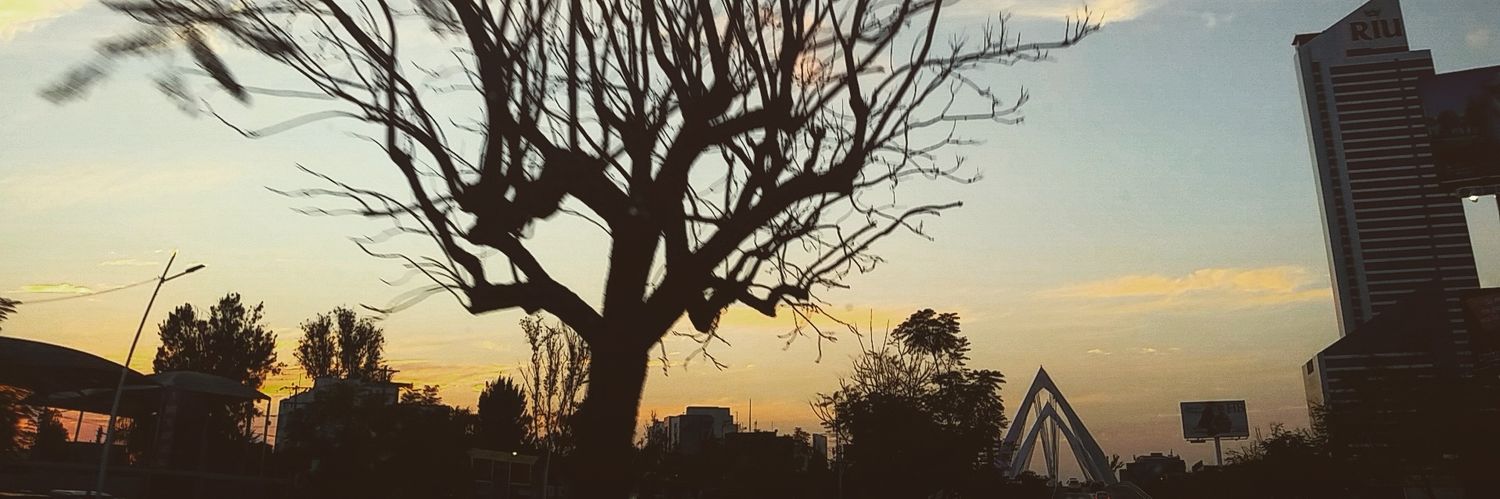 HuAlvro's profile banner image